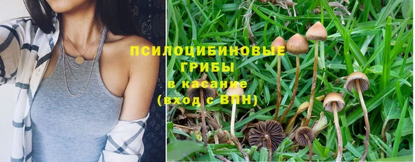 гашишное масло Белокуриха