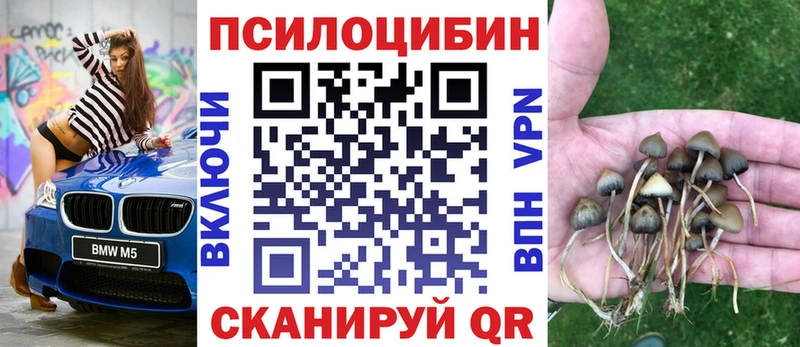 что такое   Сланцы  Галлюциногенные грибы GOLDEN TEACHER 